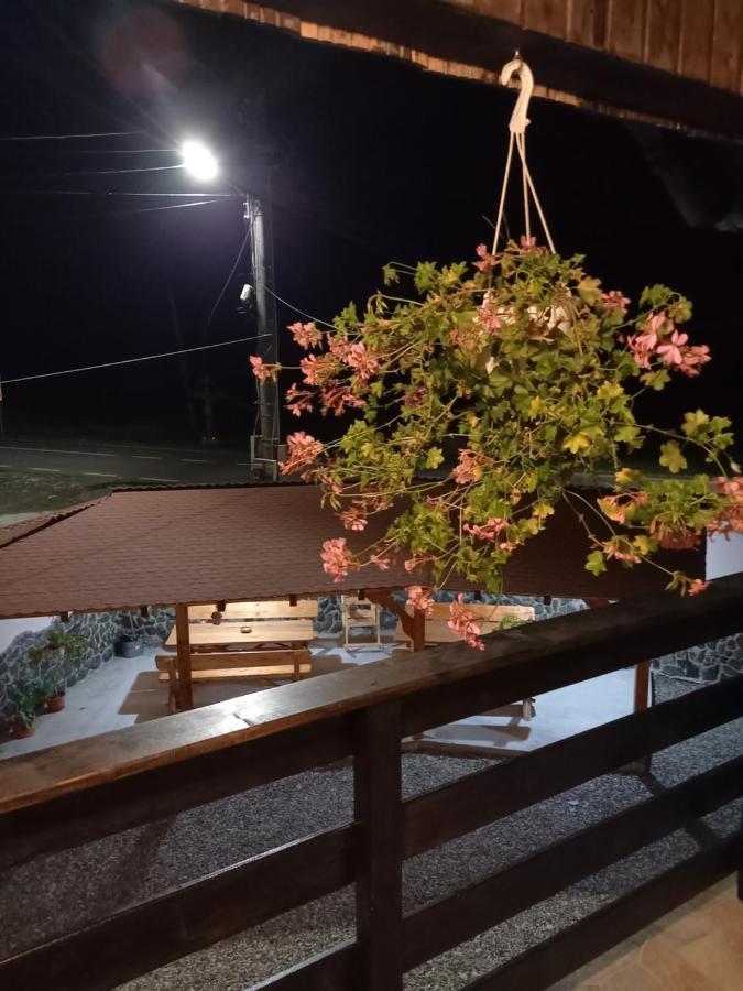 Casa Loredana Cîrţişoara Exterior foto