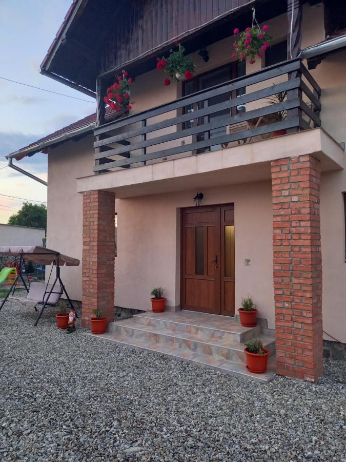 Casa Loredana Cîrţişoara Exterior foto