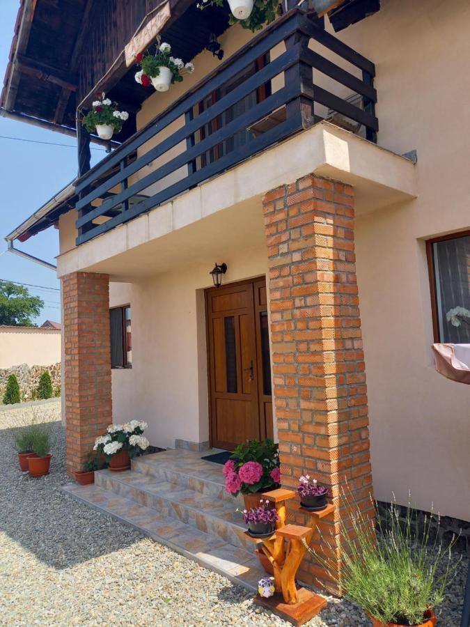Casa Loredana Cîrţişoara Exterior foto